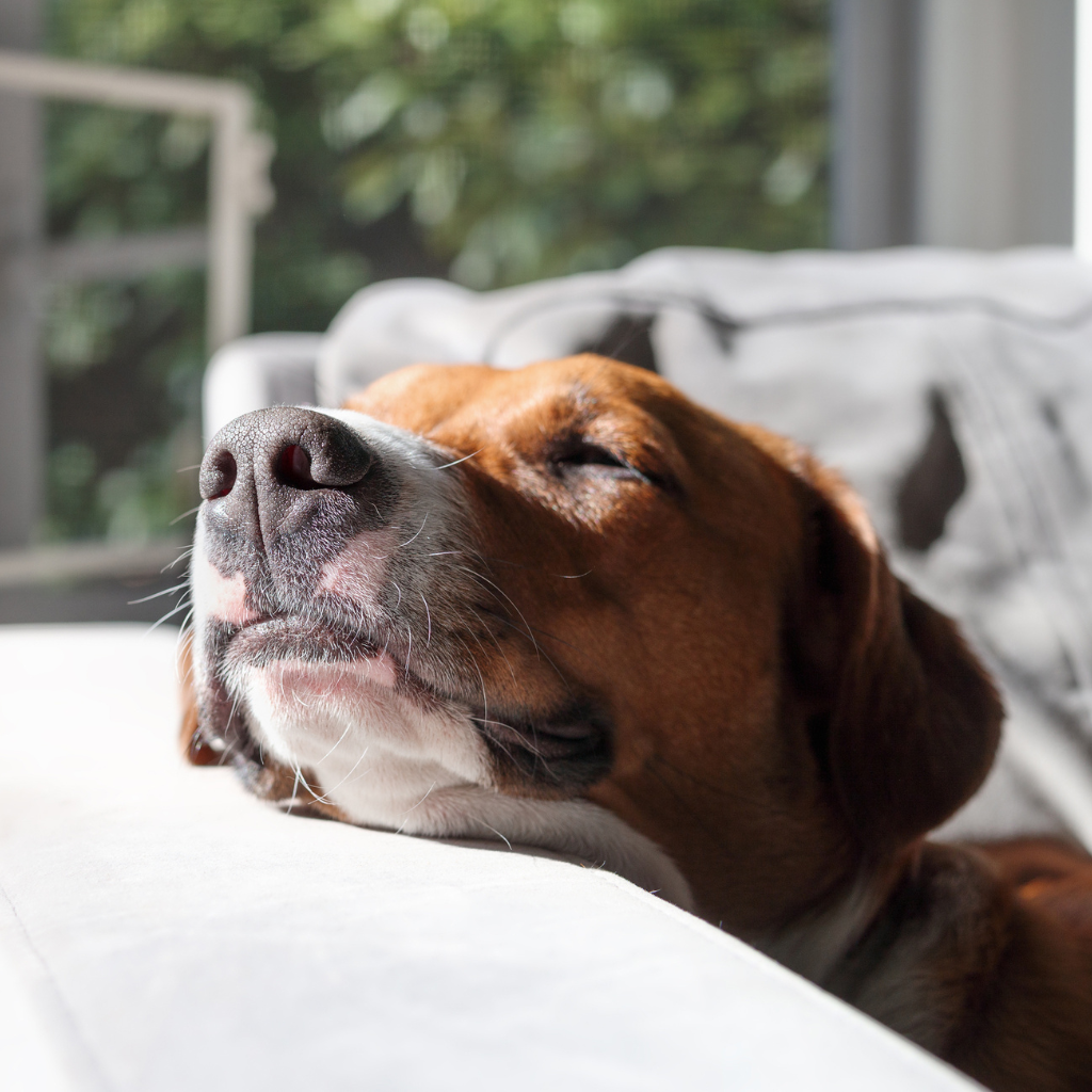 Emotional Well-Being