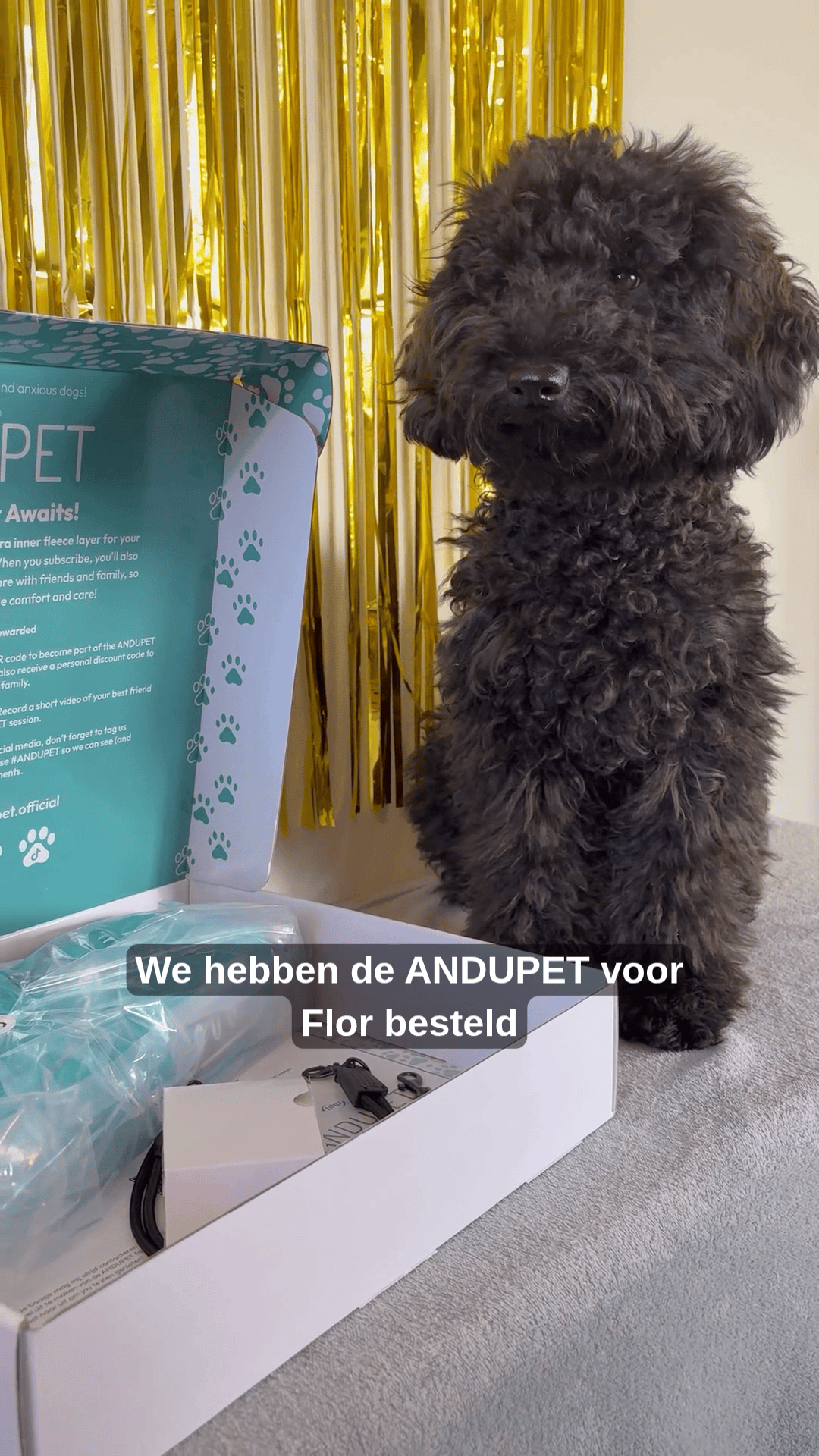 Flor voor ANDUPET